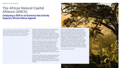 Priority case study 2: the African Natural Capital Alliance (ANCA), with a photo of a forest canopy