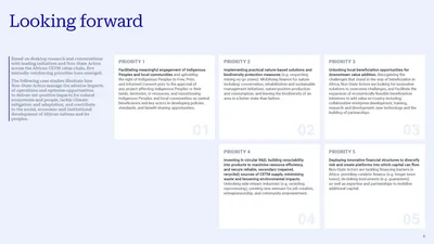 Looking forward: five numbered priorities for non-state actors, each in its own panel