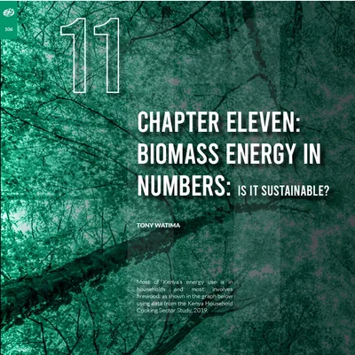 Chapter eleven opener, 'Biomass energy in numbers: is it sustainable?', over a green-tinted forest photo