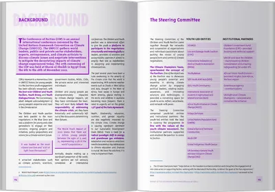The report open on the background and steering committee