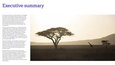 Executive summary, with a photo of an acacia tree and a giraffe on the savannah
