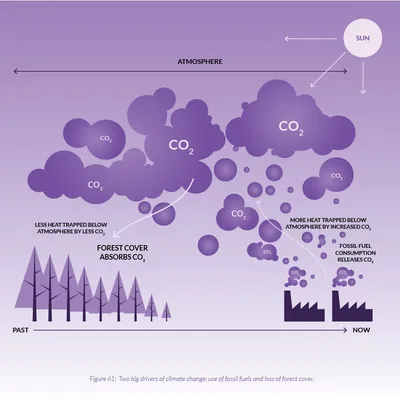 Purple illustration of how forest loss and fossil fuel consumption release carbon dioxide into the atmosphere