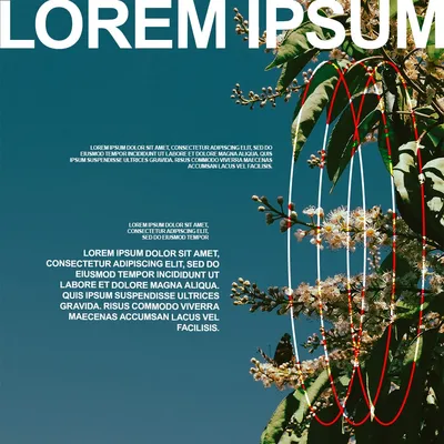 Typographic poster: 'Lorem ipsum' in bold white capitals over a photo of a flowering tree against blue sky