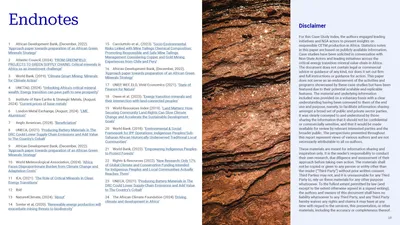Endnotes and disclaimer, set in columns beside a textured rock photo