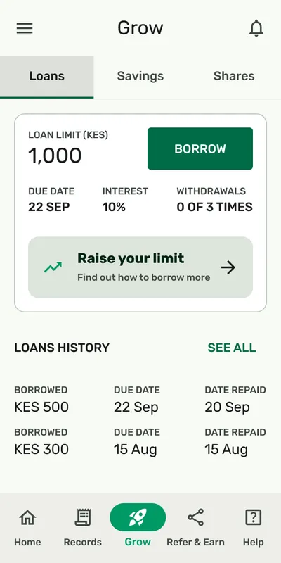 Leja loans: the loan limit and loan history