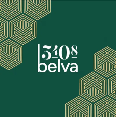 3408 Belva catalogue cover: the logo on green with a gold hexagon pattern